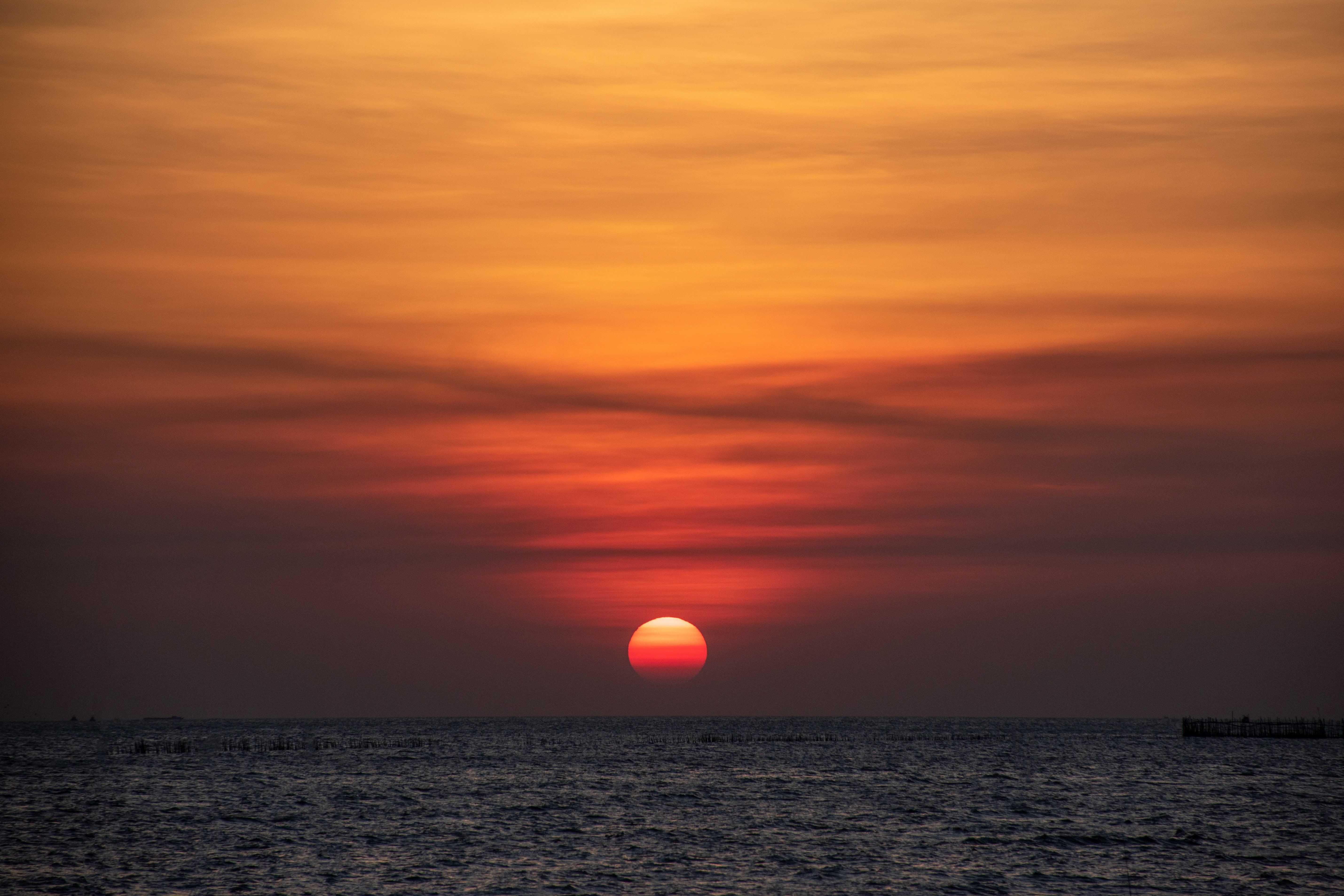 Why We Must Study the End: The Lens of Hope