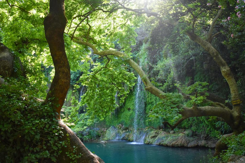 A depiction of the Garden of Eden. Genesis 3:15 – The First Gospel,' illustrating the promise of the coming Savior.